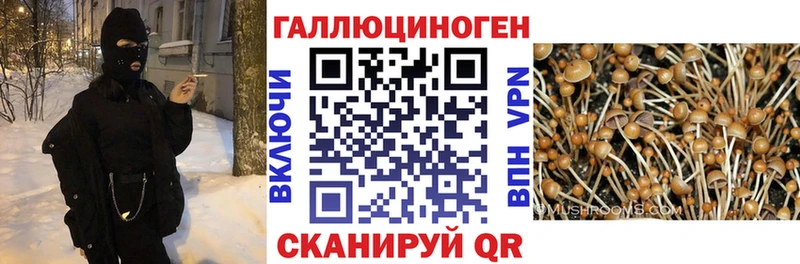 mega зеркало  Няндома  Галлюциногенные грибы Magic Shrooms  цена наркотик 